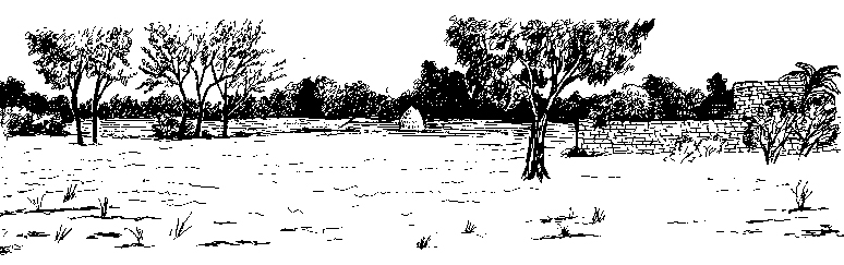 Field